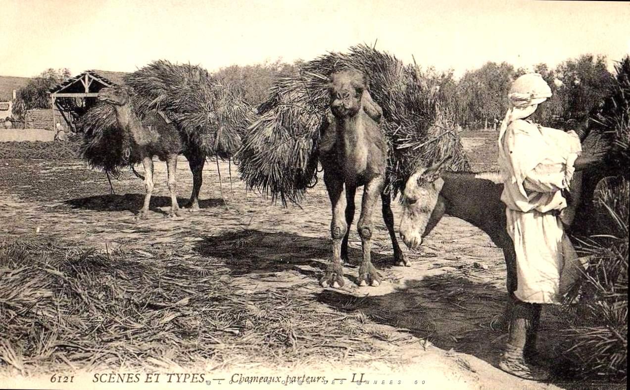 Images d'Algerie 186.jpg